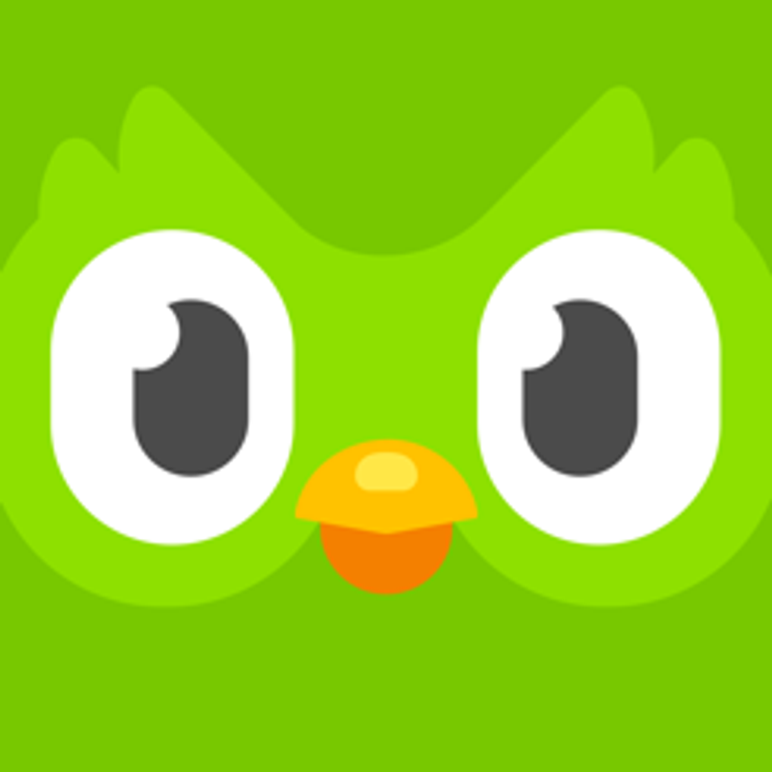 App Duolingo - Language Lessons