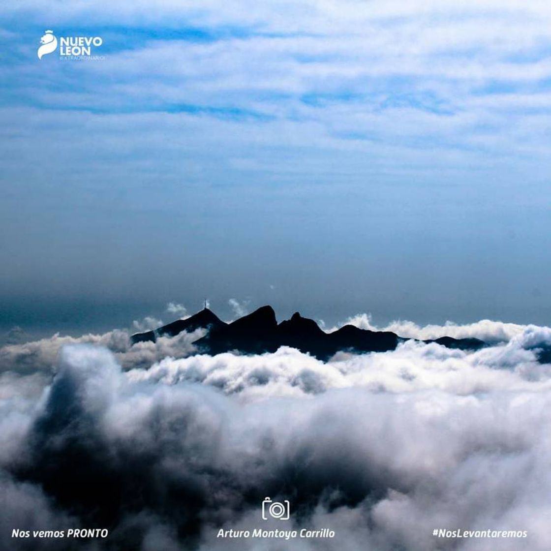 Social Desde el Cerro de la Silla, se devisa el panorama....