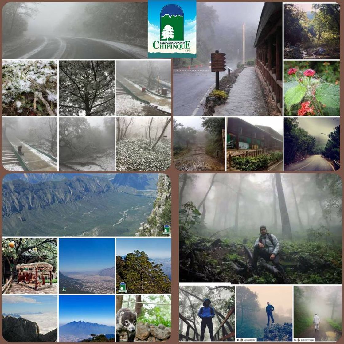 Social La vereda Coatí 2 ante las lluvias en Monterrey.