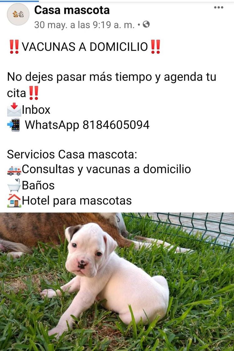 Social Ellos 🐱🐶 también son parte de nuestra FAMILIA.