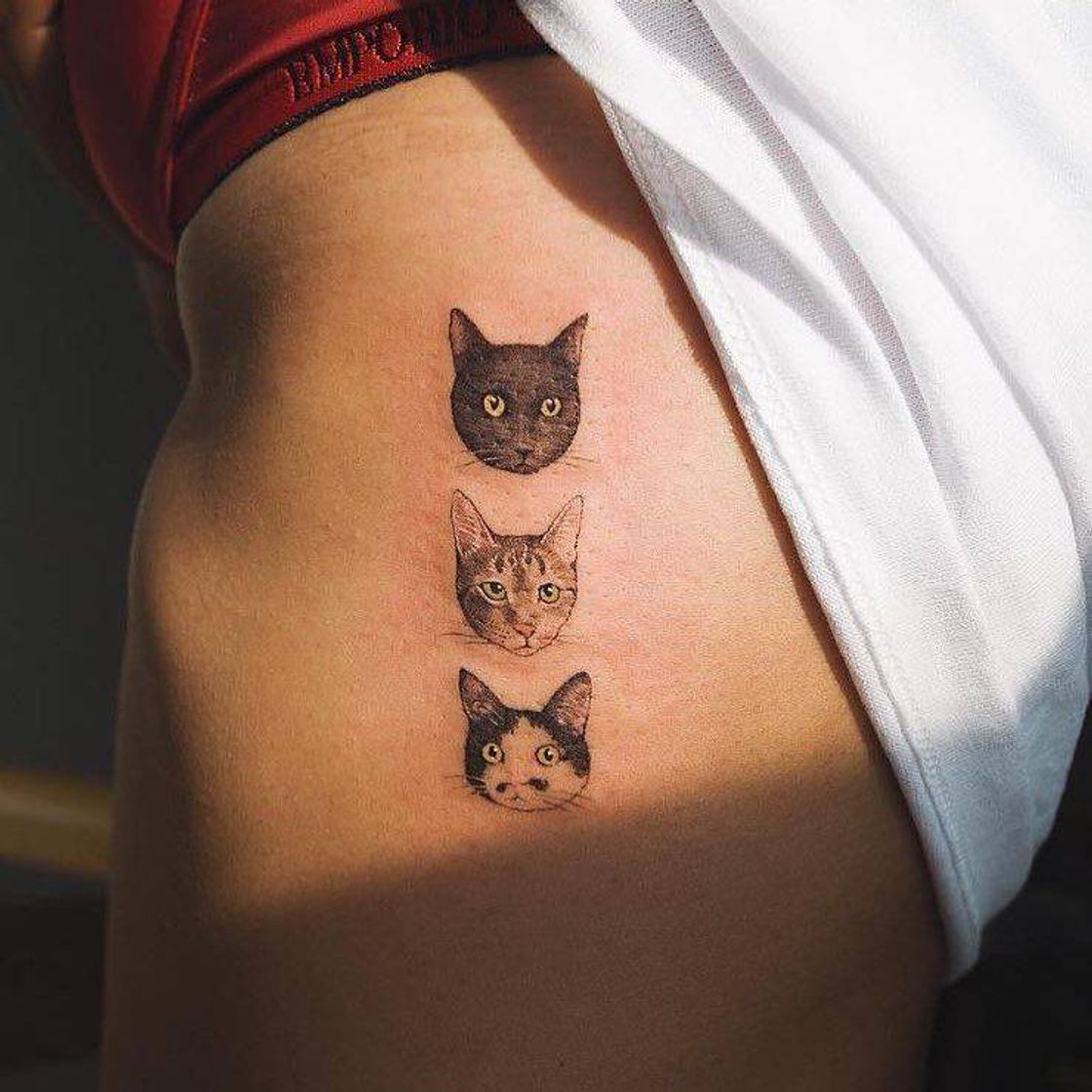 Tatuagem Gatos