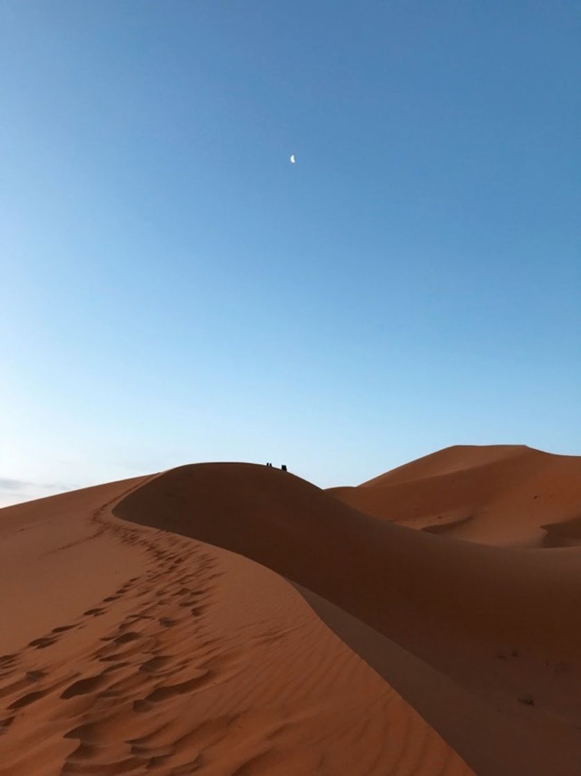 Sahara Desert