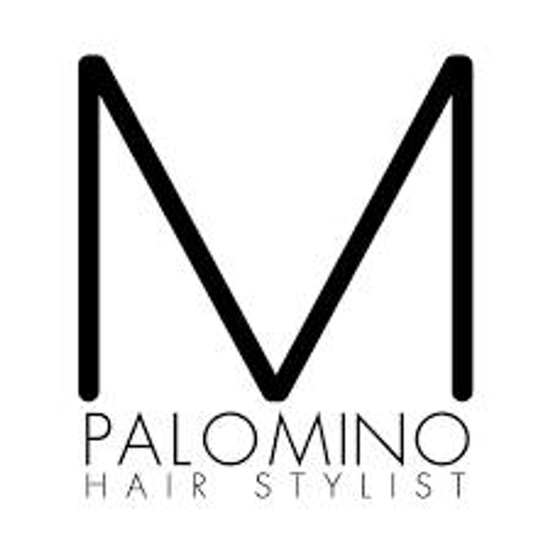 Moda Palomino hair