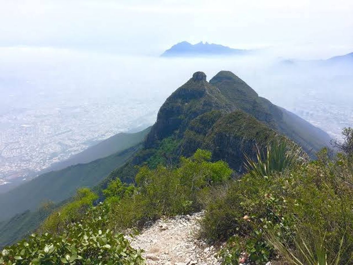 Place Cerro de las Mitras