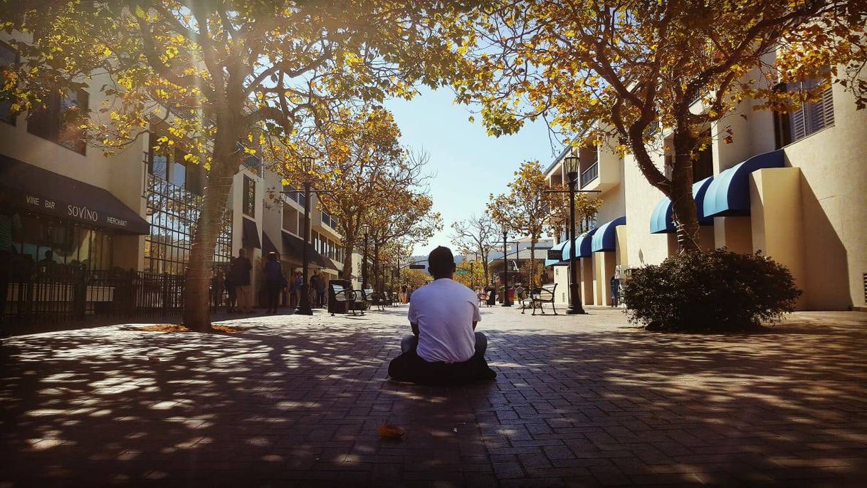 Place Monterey