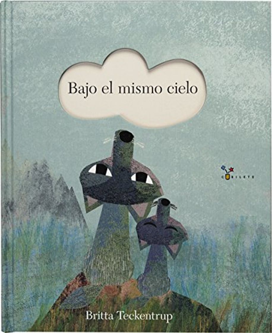 Libro Bajo el mismo cielo