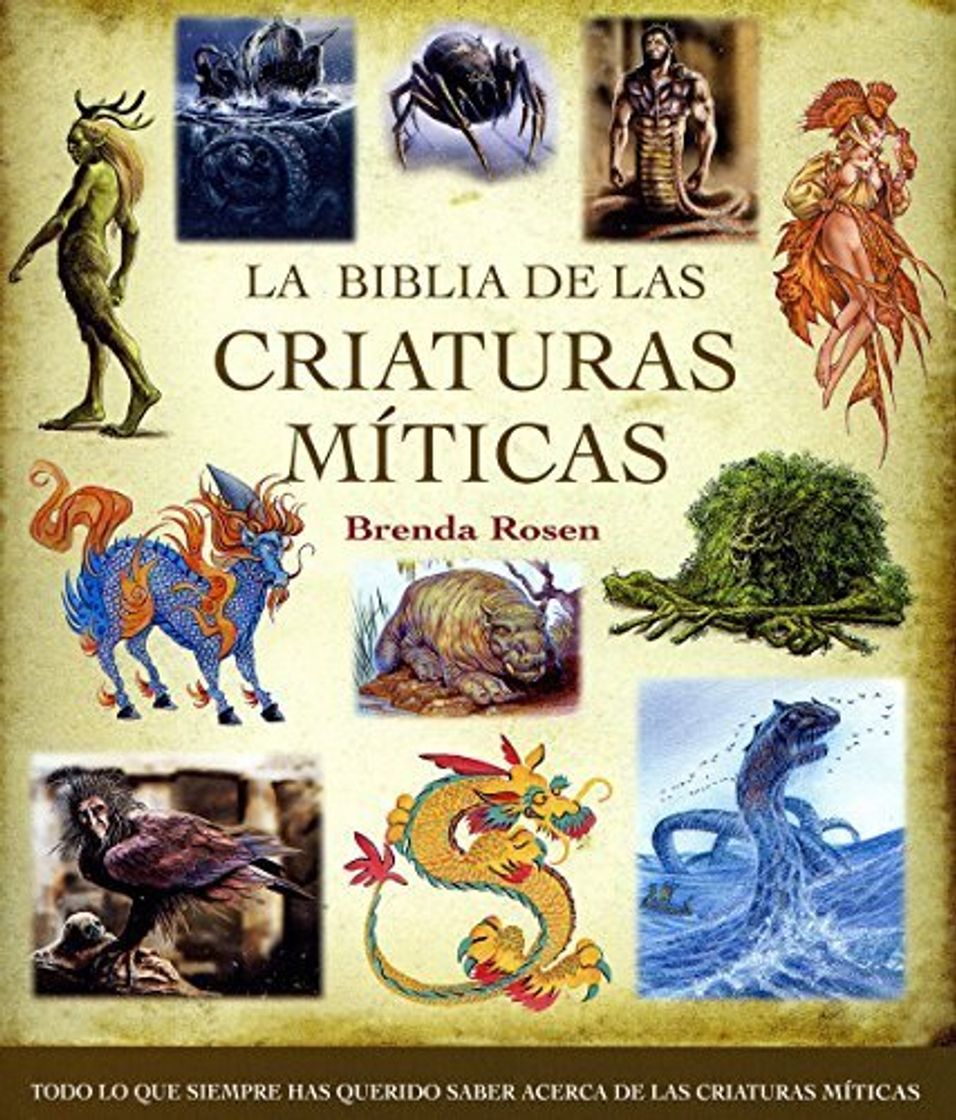 Book La biblia de las criaturas miticas (Spanish Edition) by Brenda Rosen (2009-09-01)