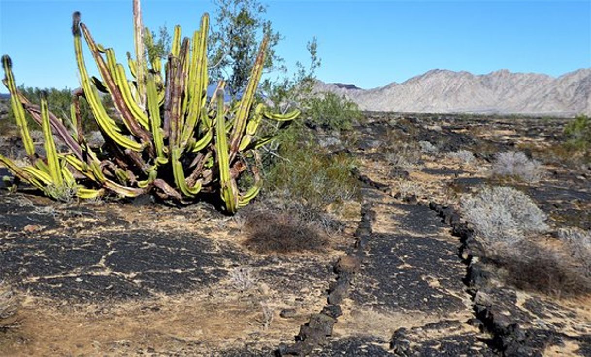 Place El Pinacate Visitors Center "Schuk Toak"
