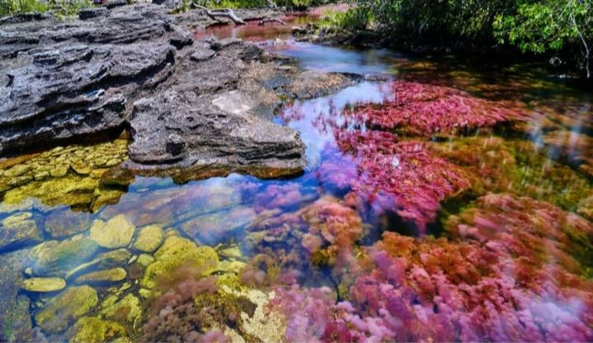 Lugar Caño Cristales