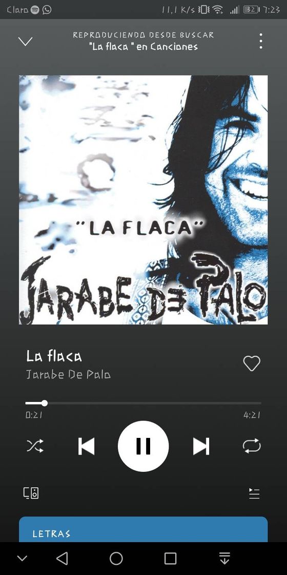 Fashion 💠La Flaca- Jarabe de Palo. 