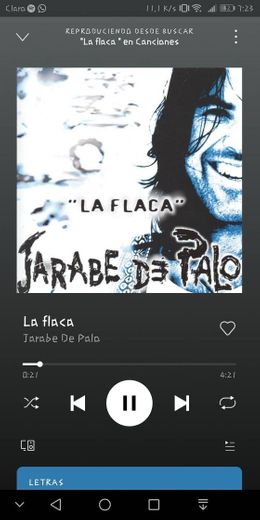 💠La Flaca- Jarabe de Palo. 