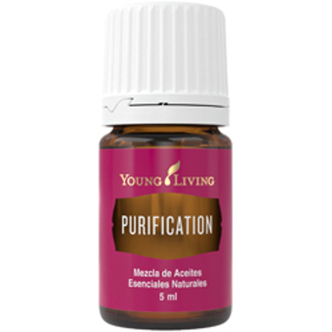 Fashion Usos y Beneficios del Aceite Esencial Purification 