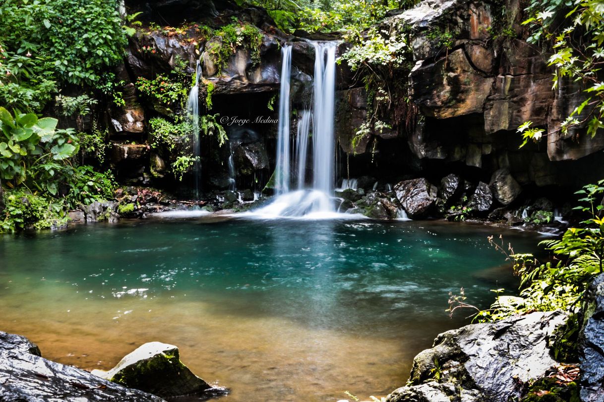 Lugar Parque Nacional