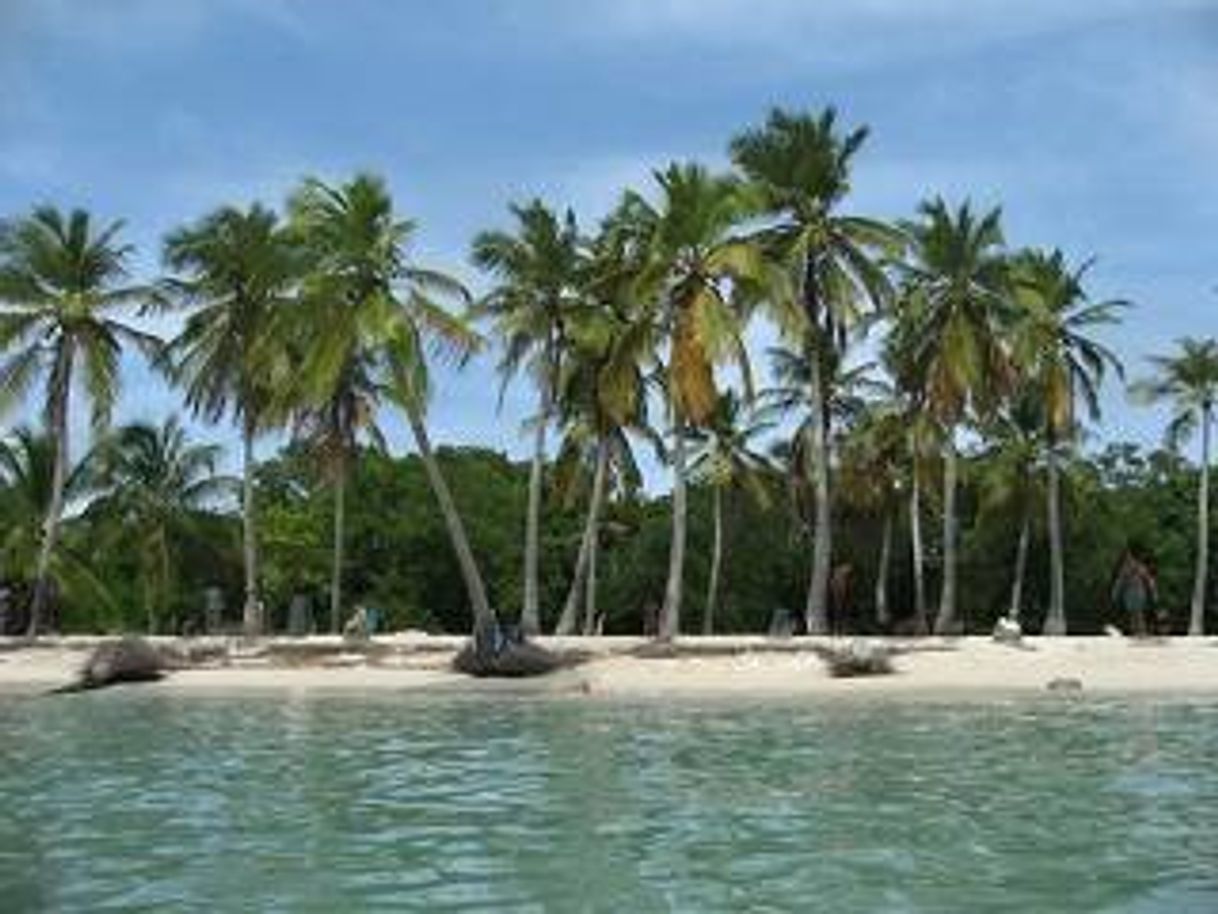 Place Cayo Paiclá Parque Nacional Morrocoy