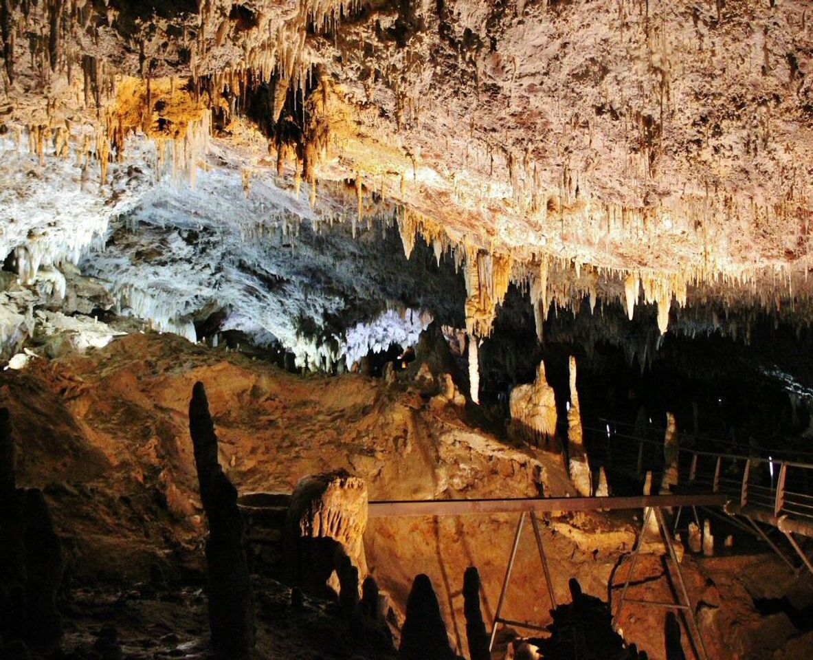 Lugar Cuevas Del Soplao