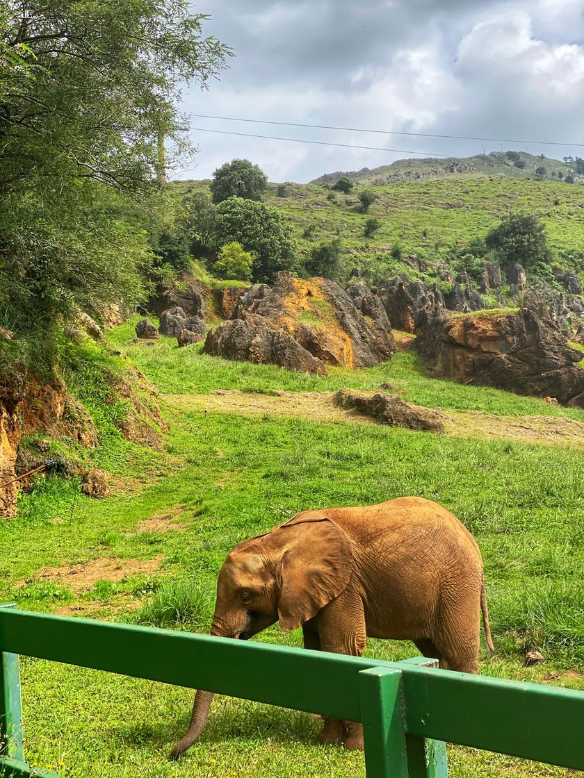 Parque de la Naturaleza de Cabárceno