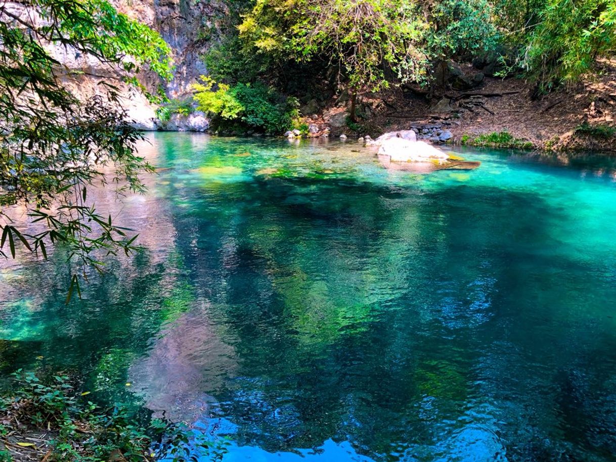 Place El nacimiento de Tamuin