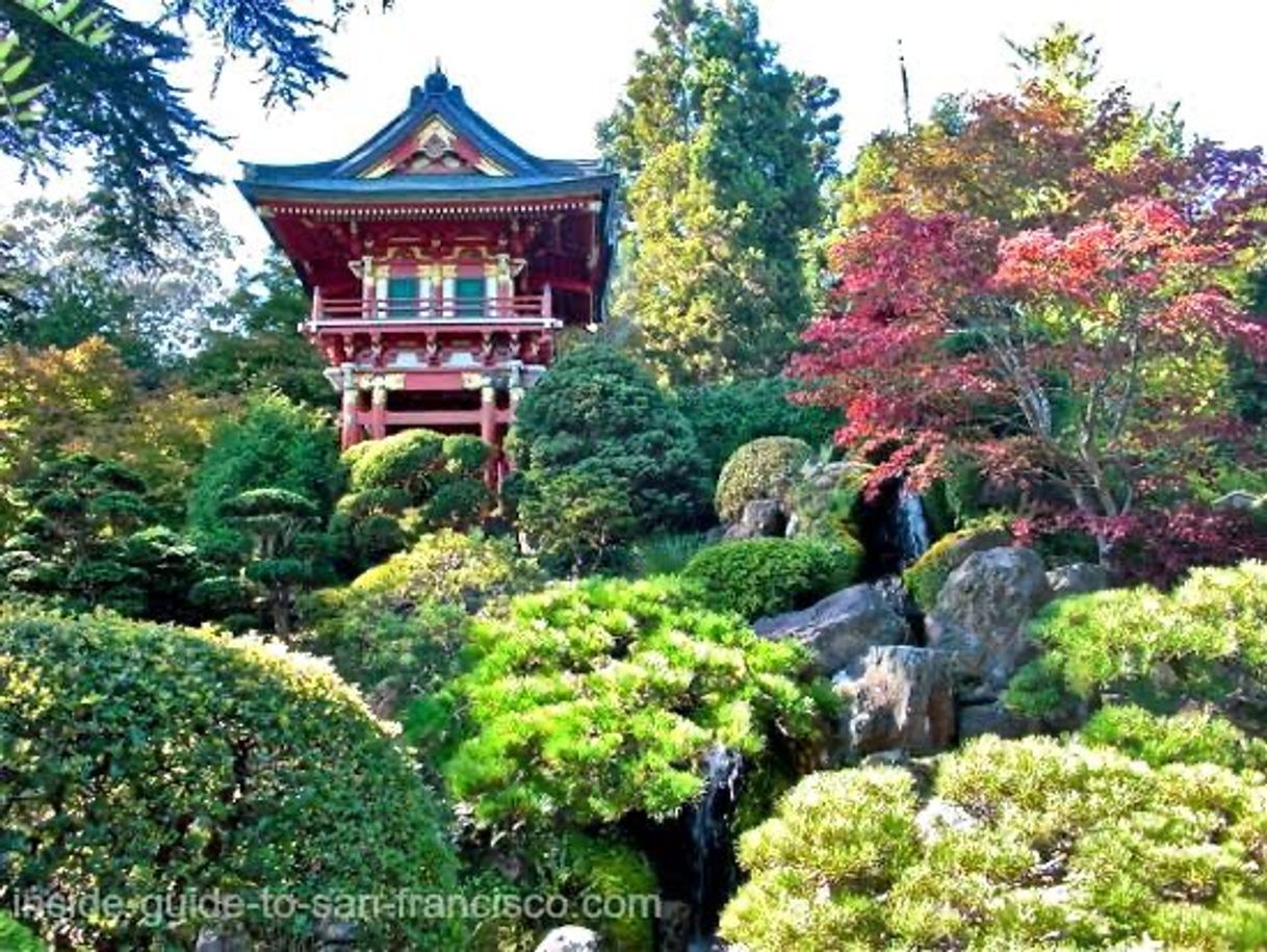 Place Japanese Tea Garden