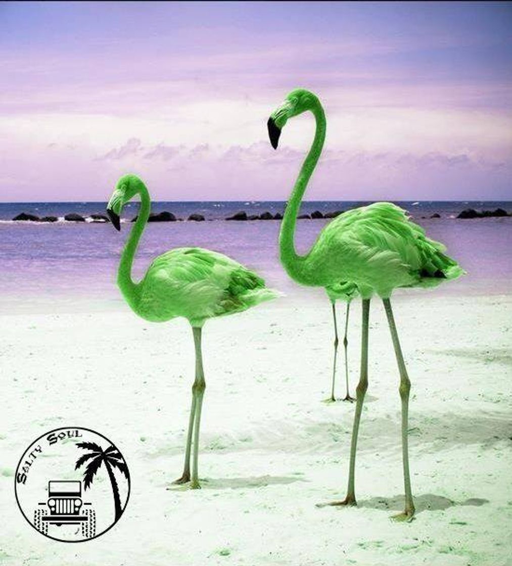 Fashion Green Flamingo