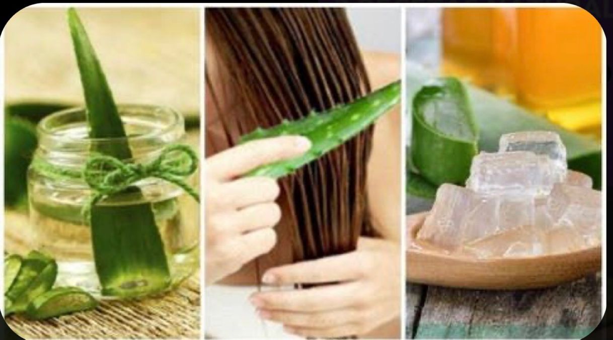 Social GEL ALOE PURO FM 250ML