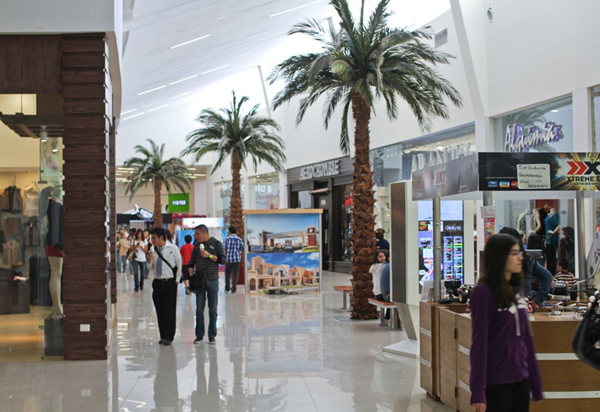 Place Galerías Mall Sonora