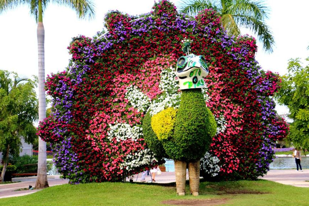 Lugar Jardines de México