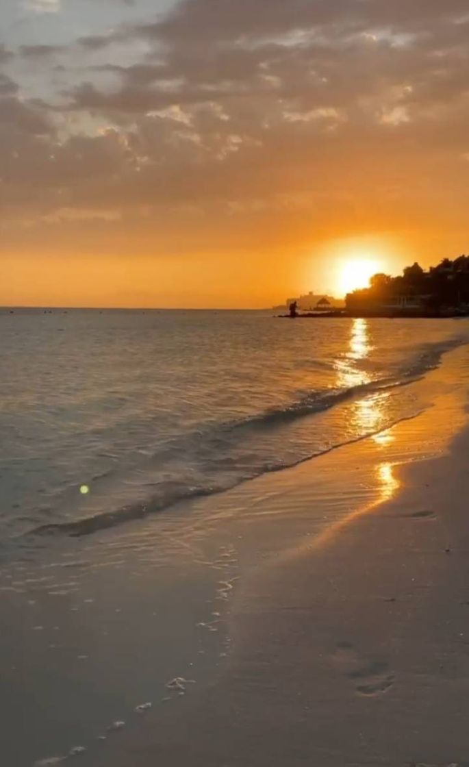 Lugar Isla de Holbox