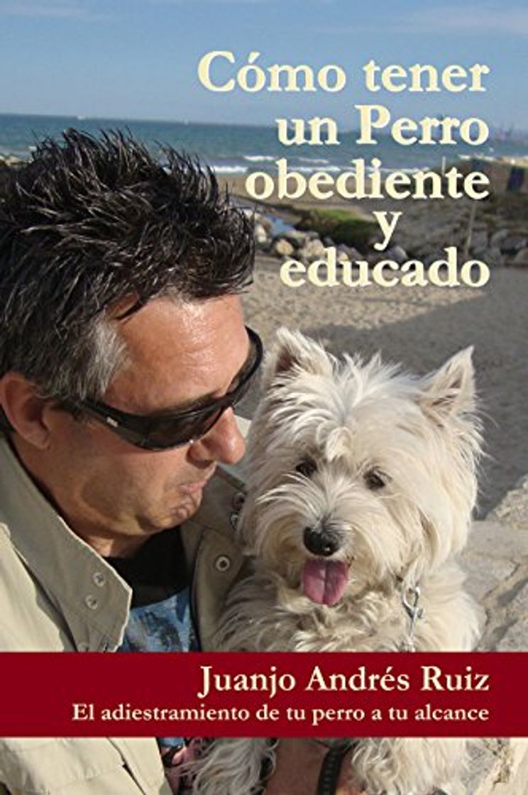 Moda Como tener un perro obediente y educado