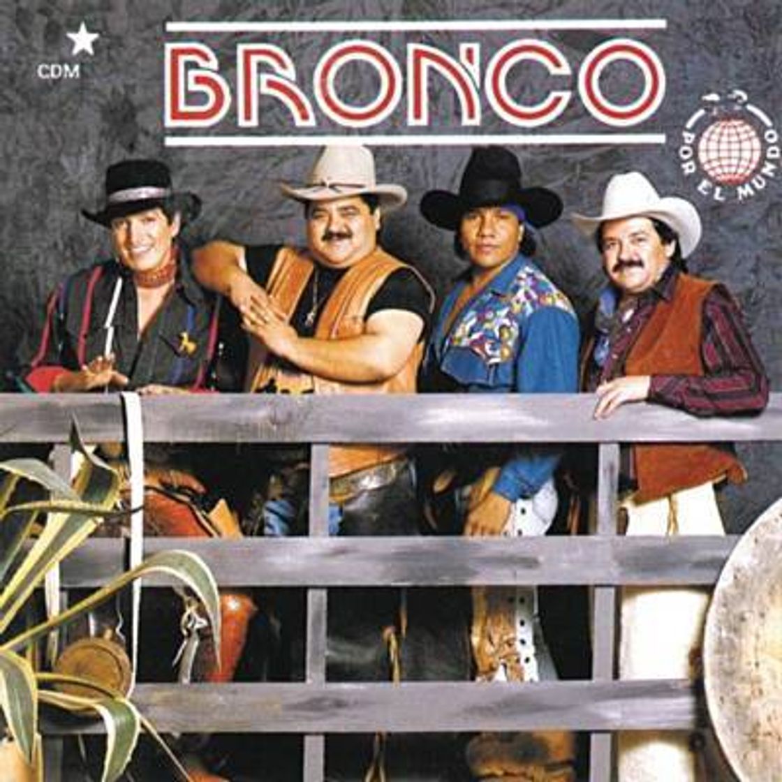 Fashion Que te parece esta música Bronco...