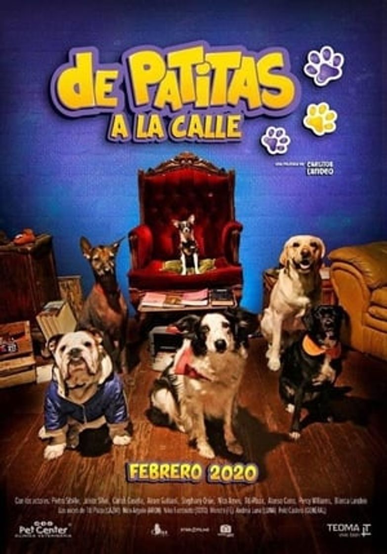 Película De patitas a la calle