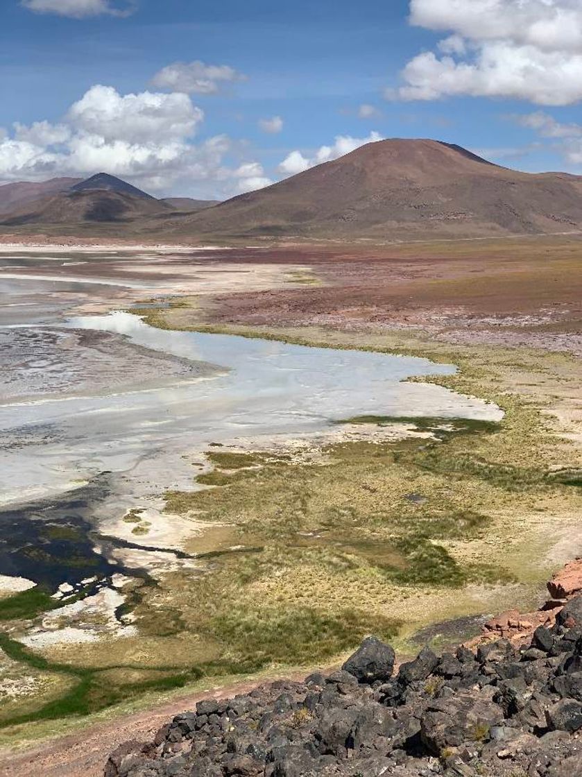 Lugar Salar de Atacama