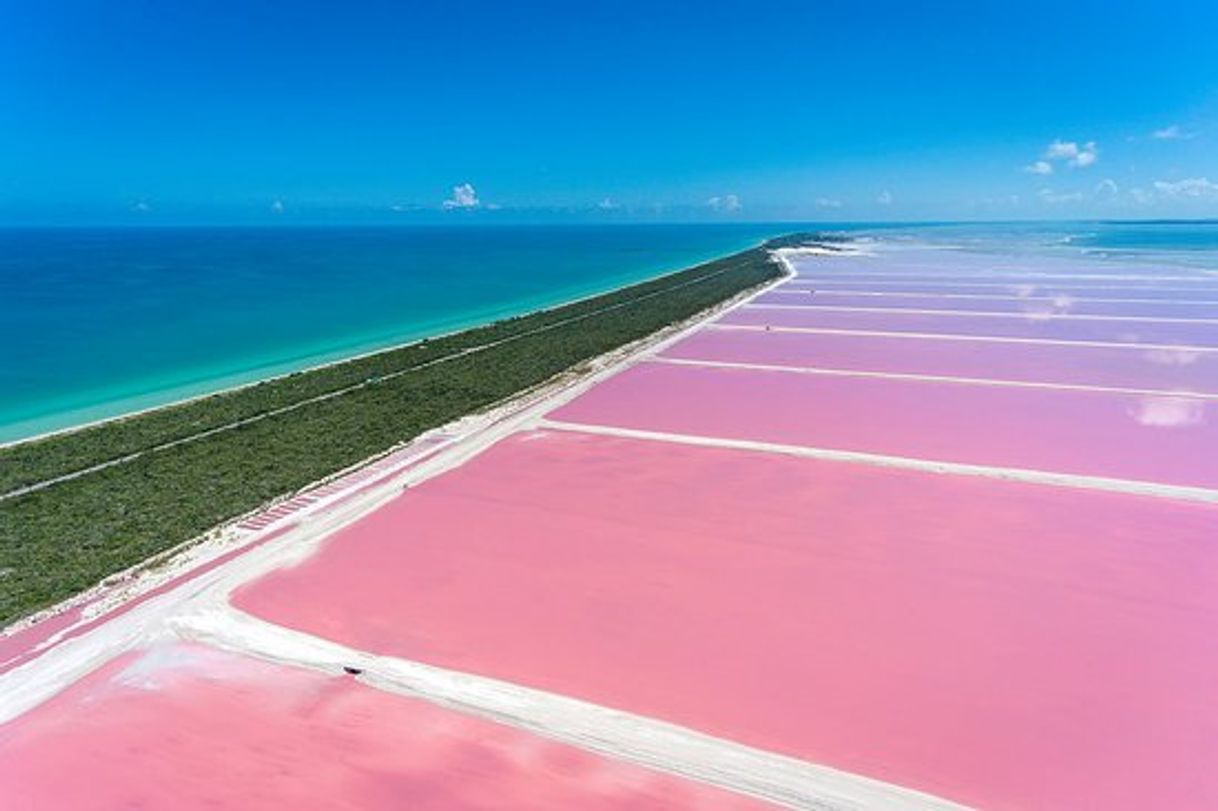 Place Lagunas Rosadas "Las Coloradas"