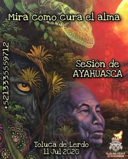 Ayahuasca 🍃🙌🏻