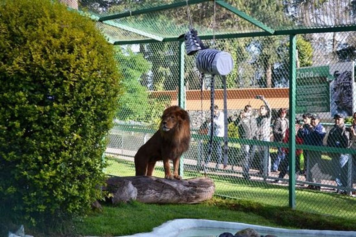 Lugar Zacango Ecological Park