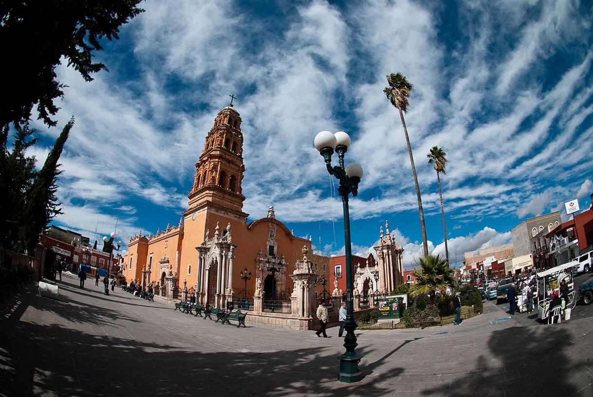 Place Fresnillo