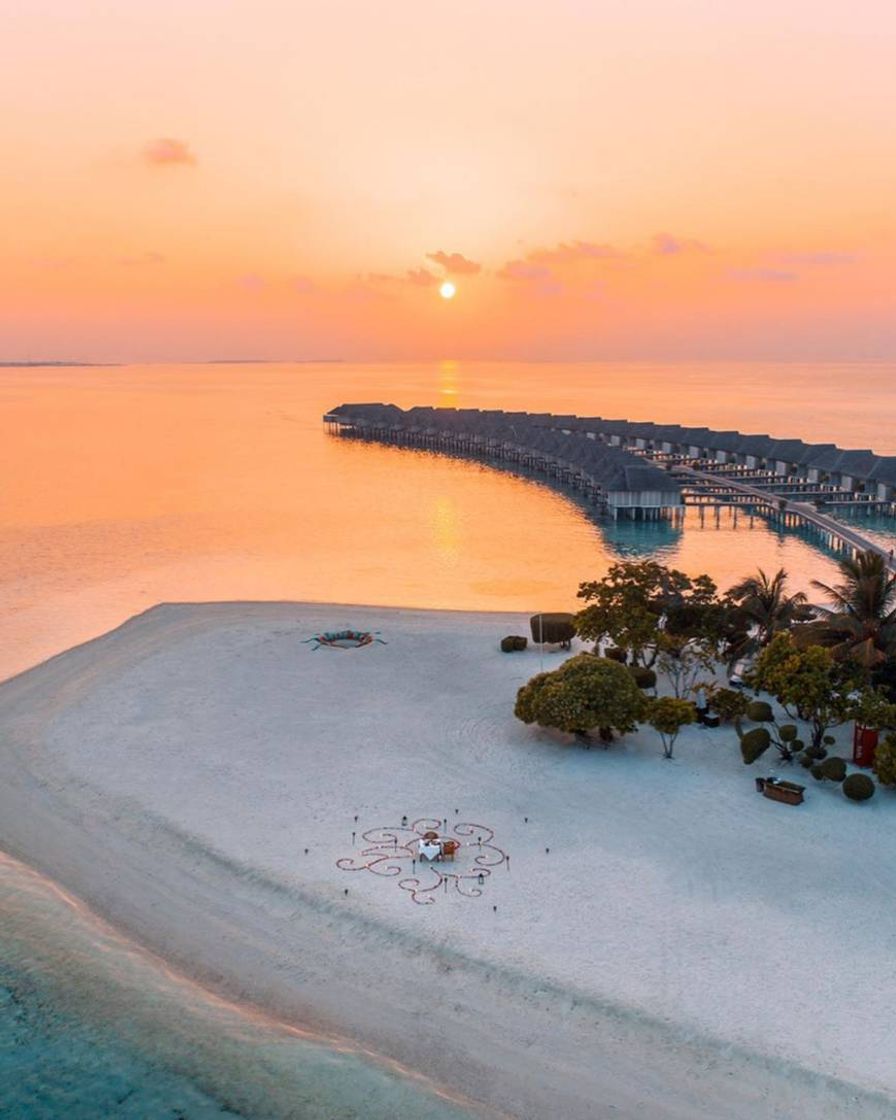 Lugar Maldive Islands