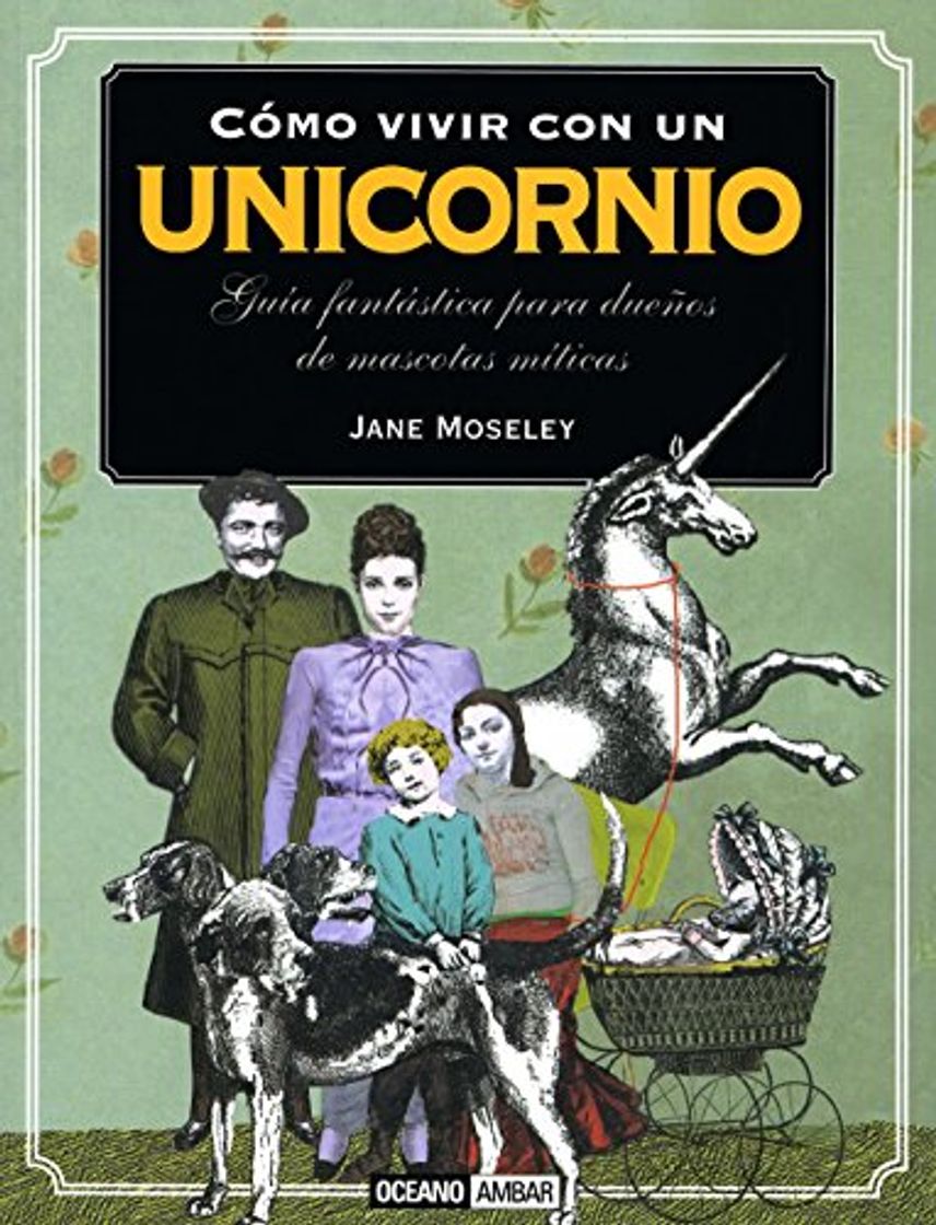 Books Cómo vivir con un unicornio: Aprende a cuidar a los animales fantásticos