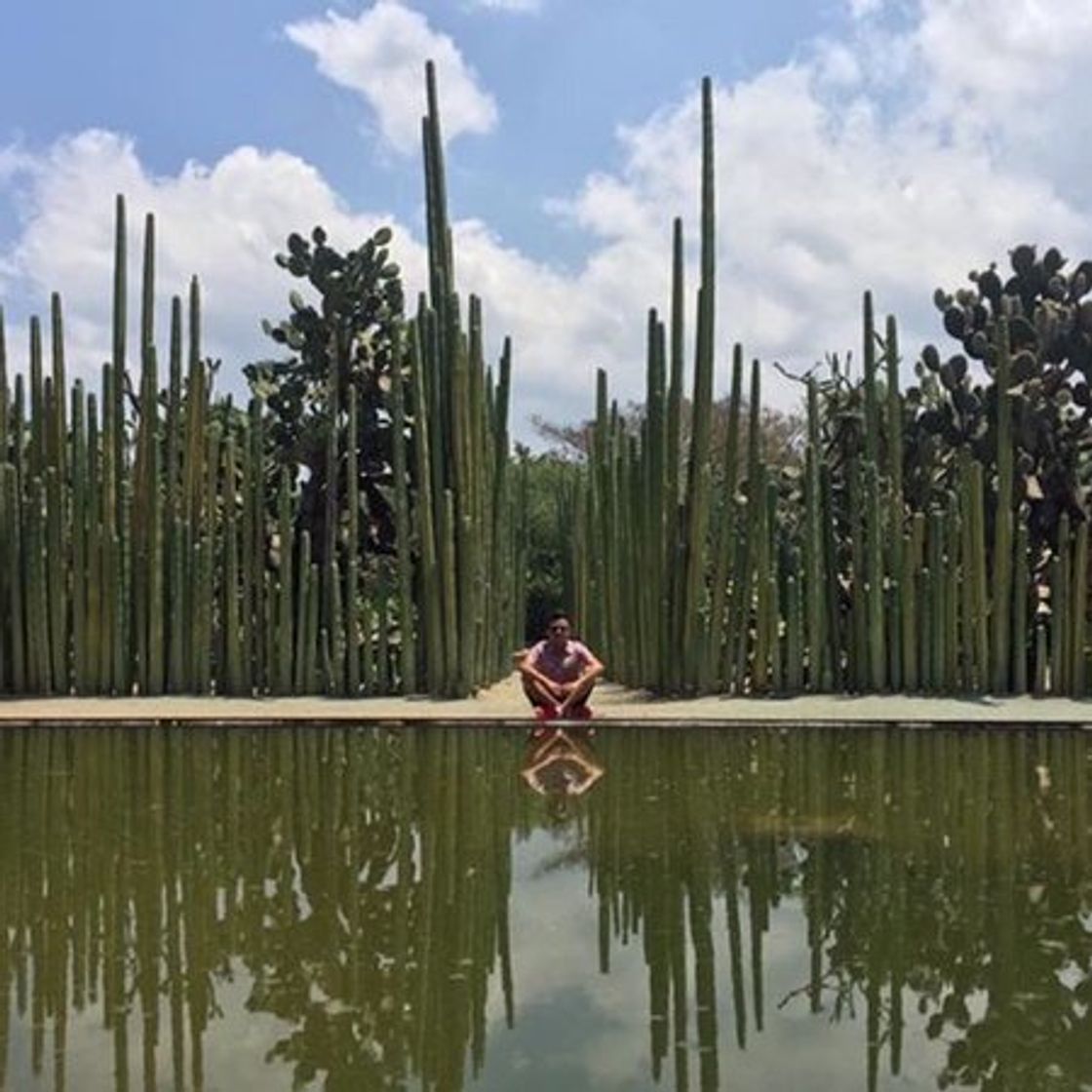 Place Jardín Etnobotánico de Oaxaca