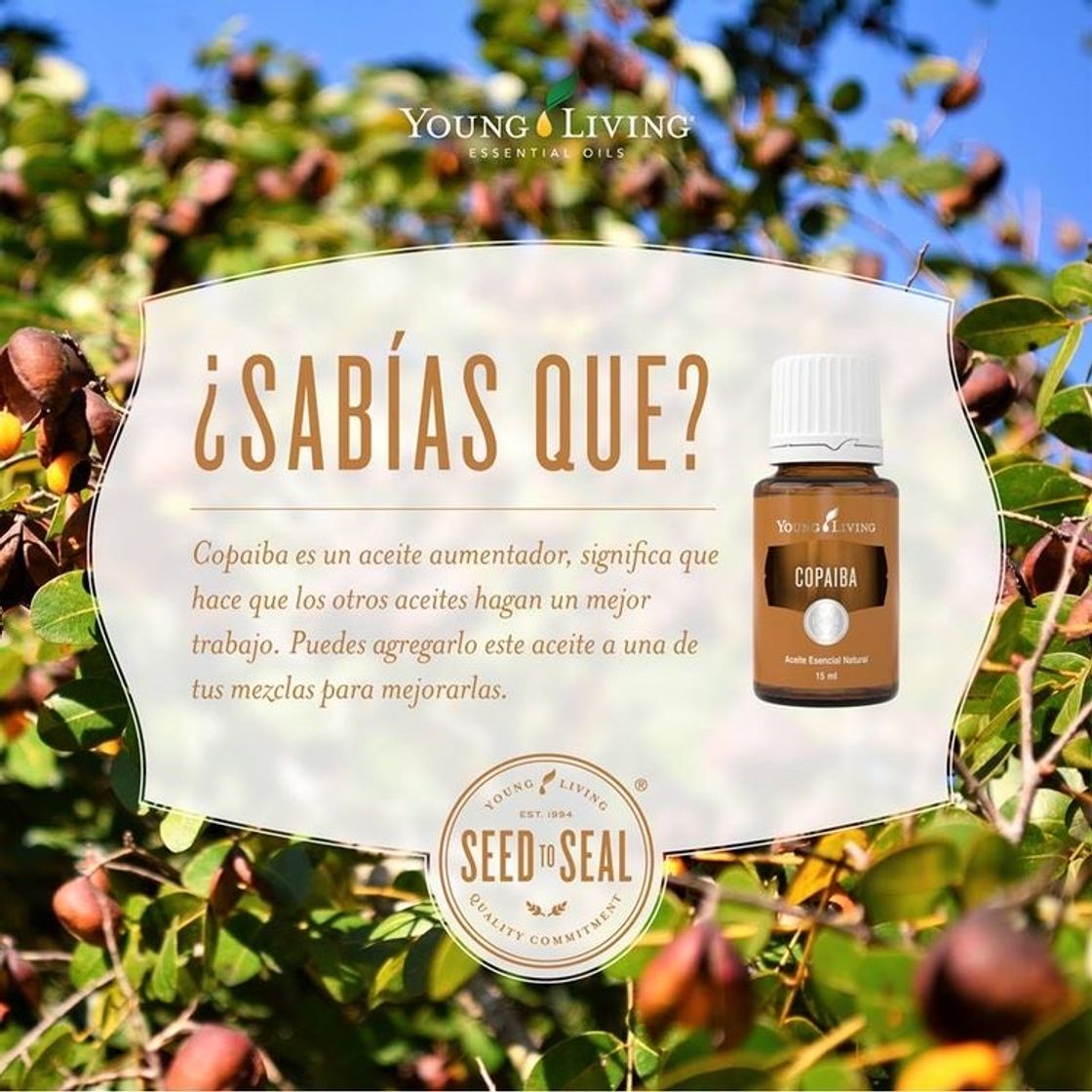 Products Aceite esencial Copaiba 