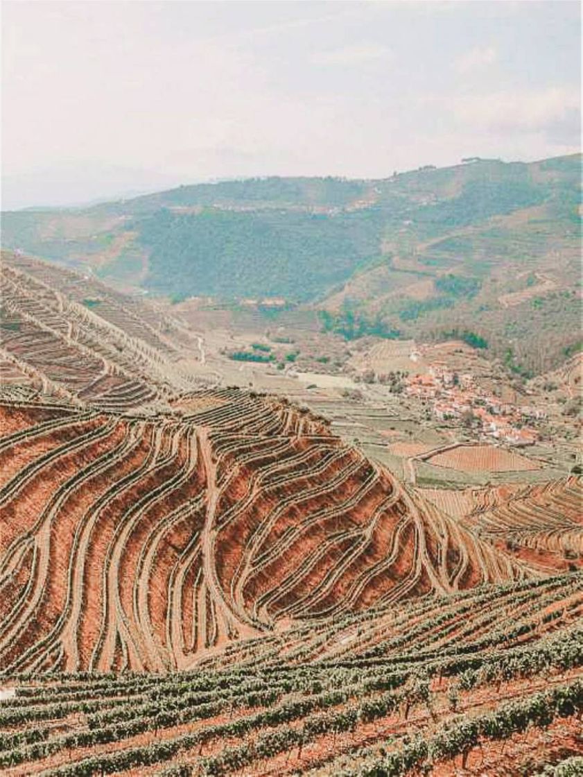 Lugares Douro Valley