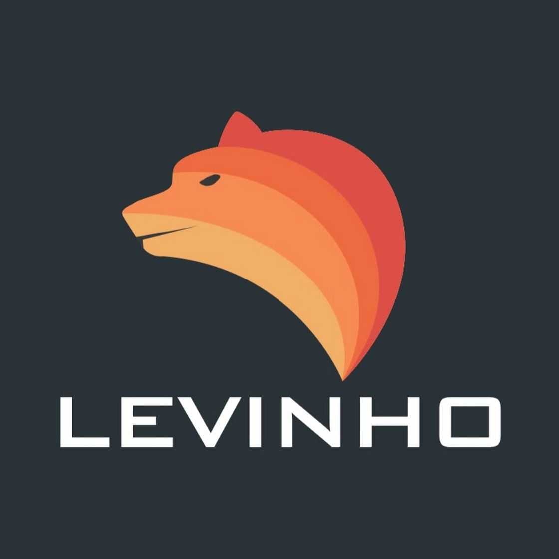 Fashion Levinho - YouTube