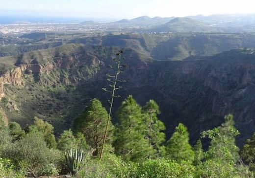 Caldera de Bandama