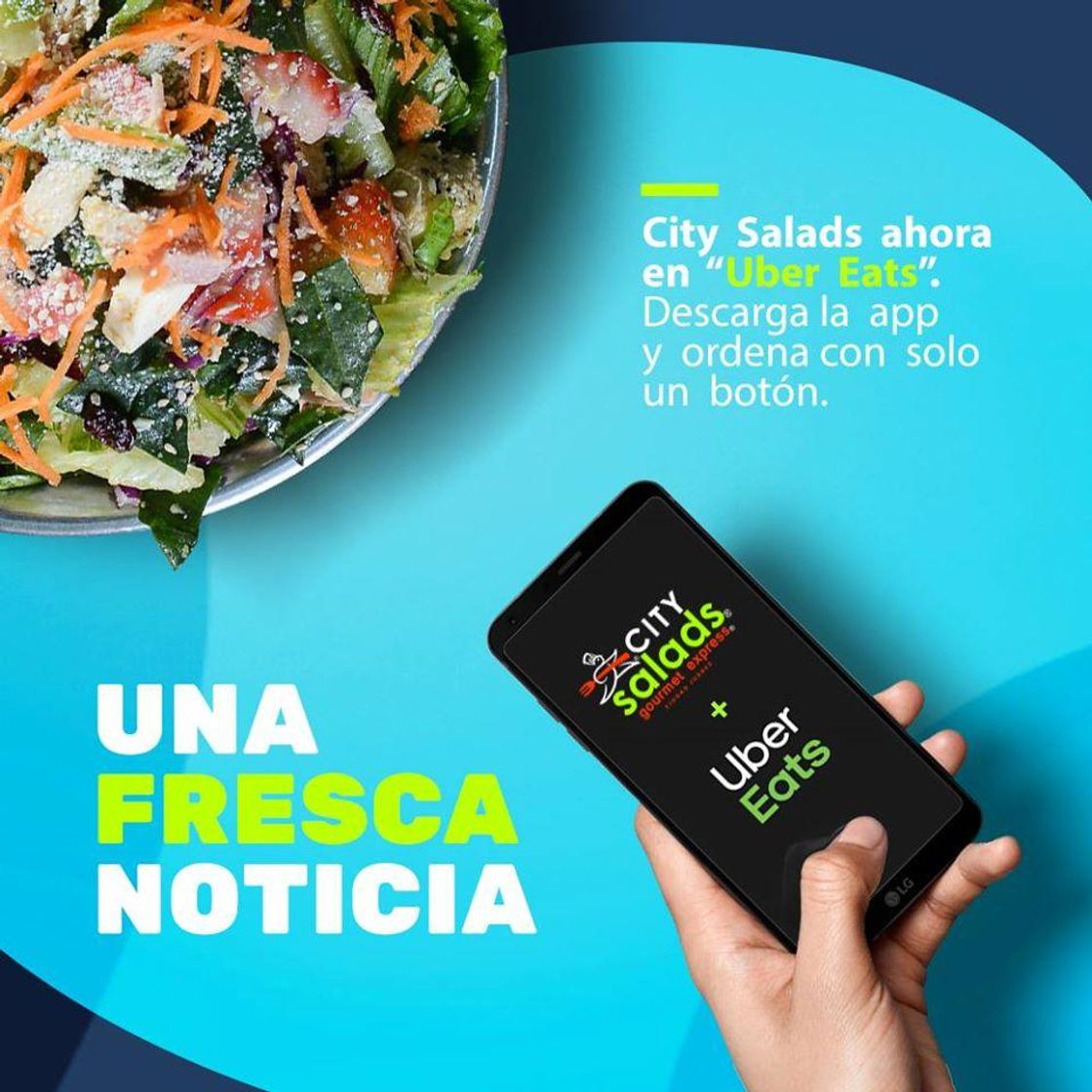 Restaurants City Salads