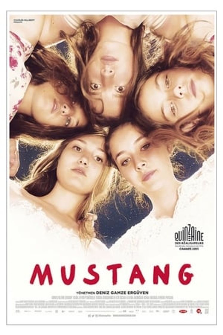 Película Mustang