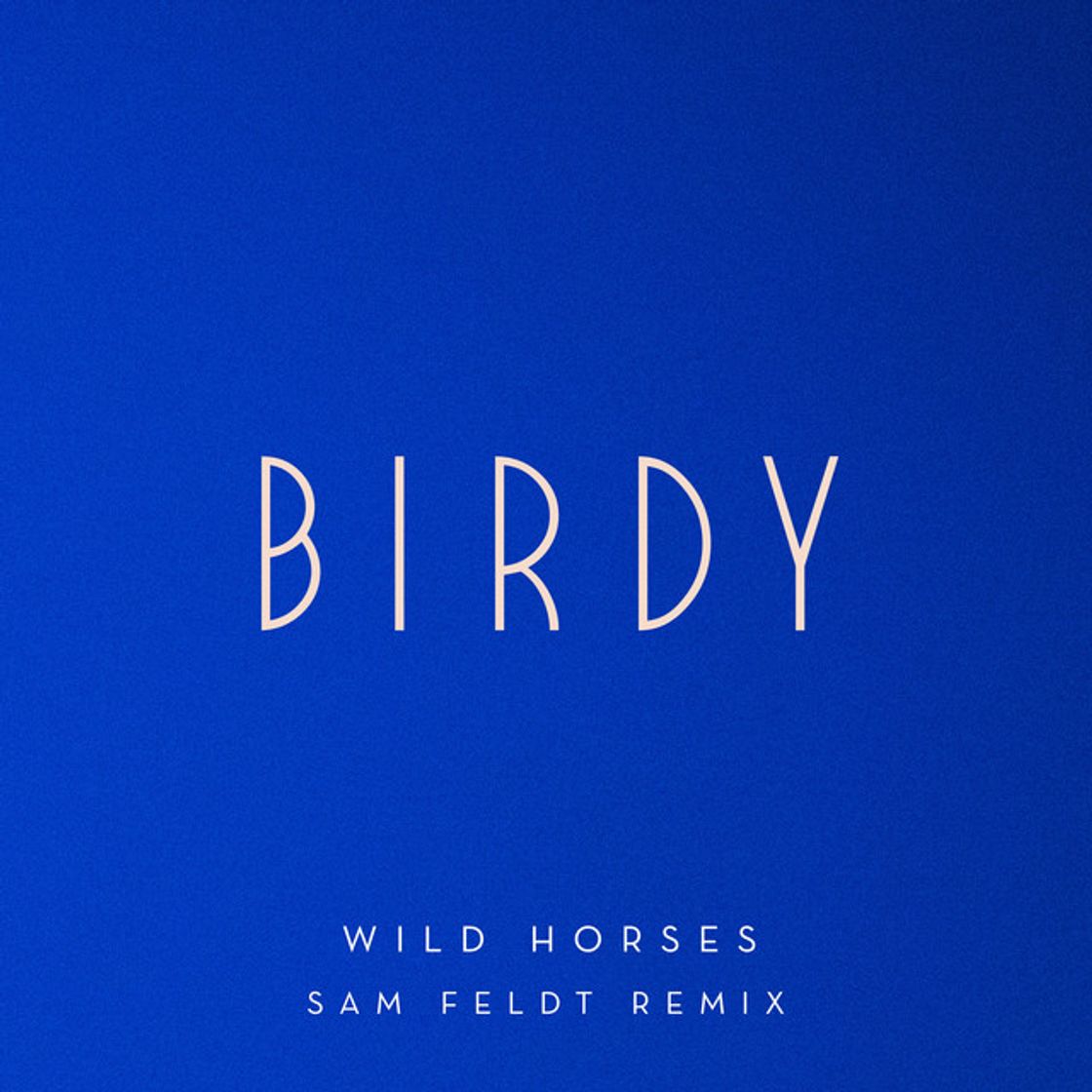 Canción Wild Horses - Sam Feldt Remix