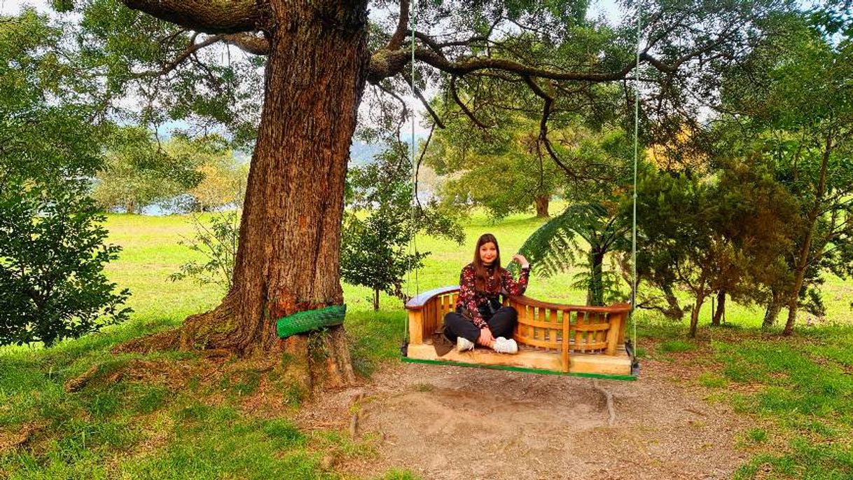 Place Furnas