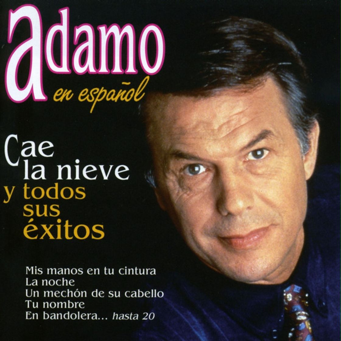 Canción Es Mi Vida