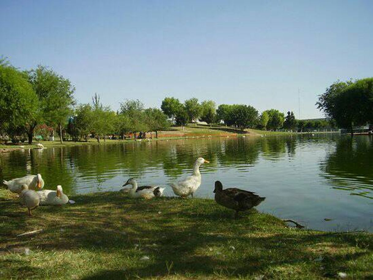 Moda Parque central🏞