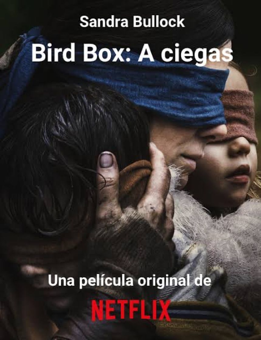 Película Bird box: Aciegas