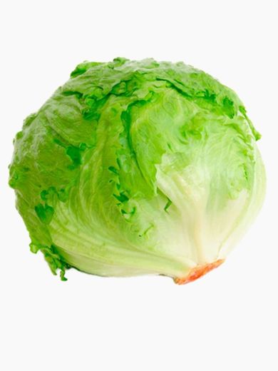 Lechuga